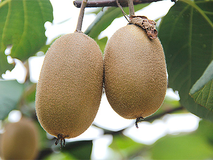 爱游戏体育平台基地展示一